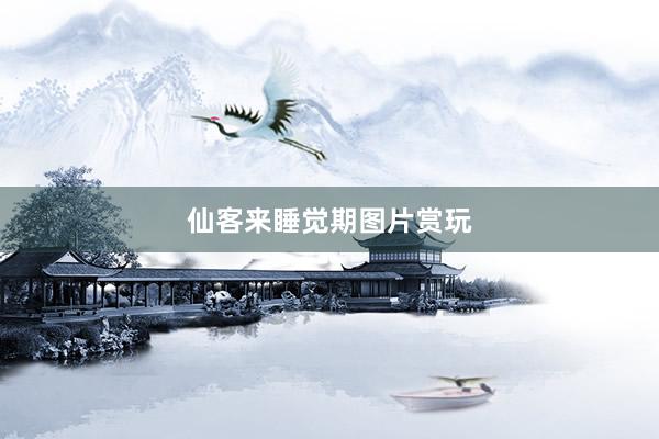 仙客来睡觉期图片赏玩