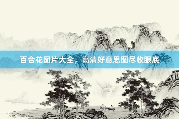 百合花图片大全，高清好意思图尽收眼底