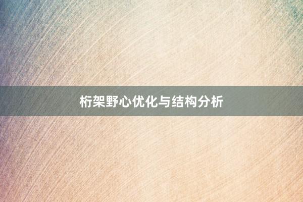 桁架野心优化与结构分析