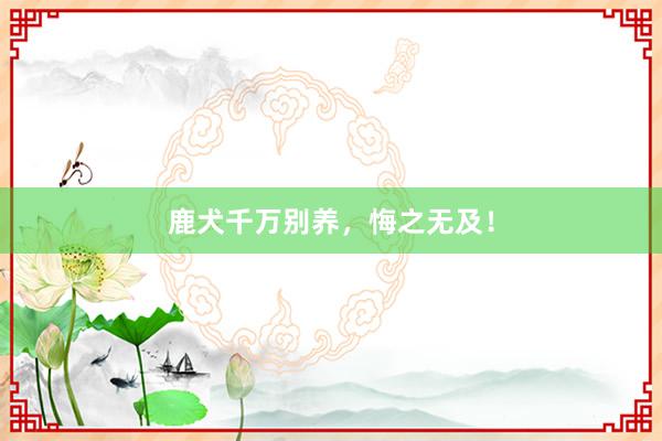 鹿犬千万别养，悔之无及！