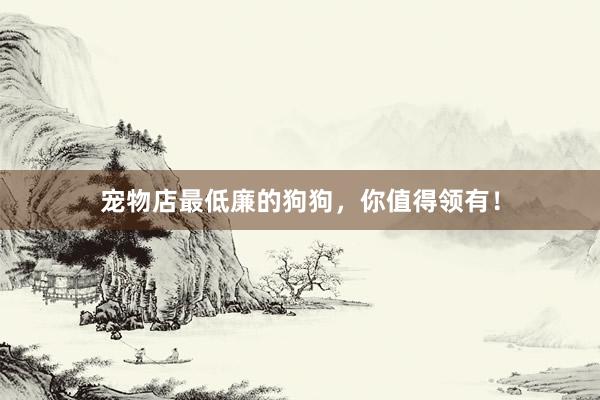 宠物店最低廉的狗狗，你值得领有！